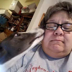 Meet your Posher, Sherry